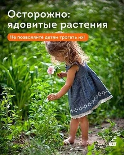 Лето☀ время прогулок в парках и лесах. Для ребенка всё вокруг — это большая игра, и люб...