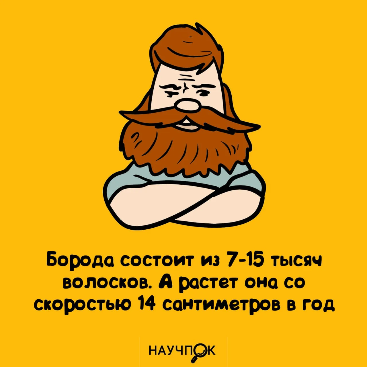 Научпок | Подписаться