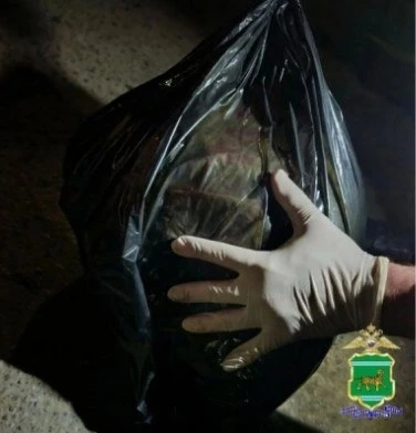 Биробиджанец съездил за «урожаем» и попался с 1,4 кг марихуаны 🌿