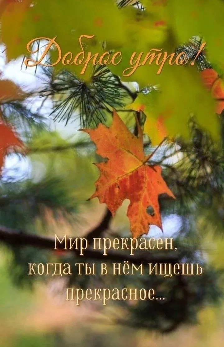 Вам открытка 💙