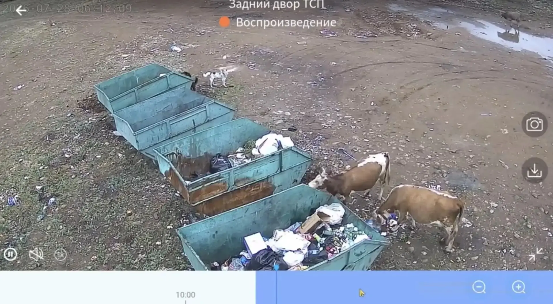 В Кызыле начали устанавливать камеры на контейнерных площадках