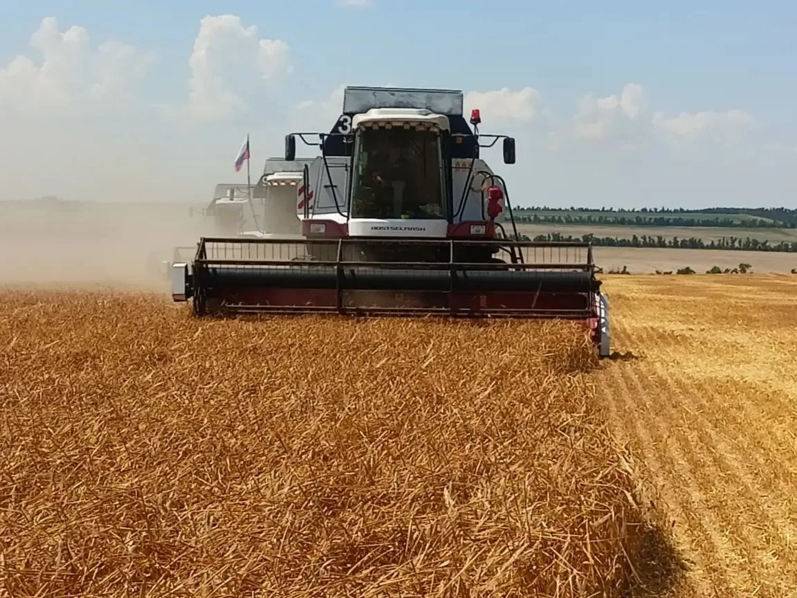 Уборочная кампания на Прикумье завершена. Несмотря на непростые погодные условия, наши аграрии вновь
