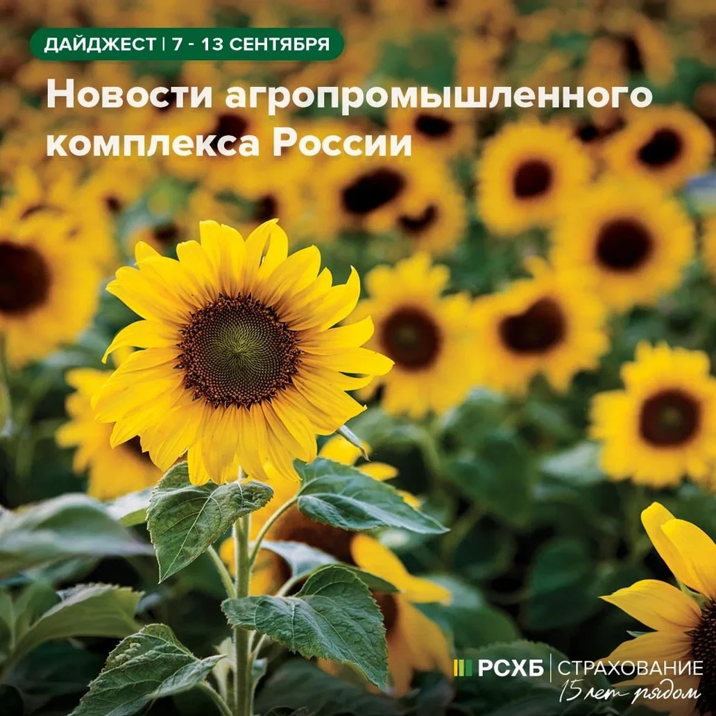 Обзор новостей агропромышленного комплекса России с 7 по 13 сентября — в еженедельном д...