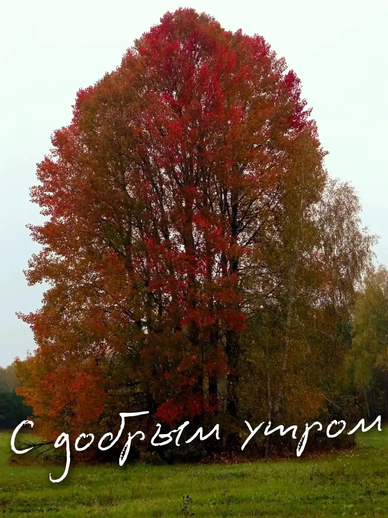Доброе утро!
