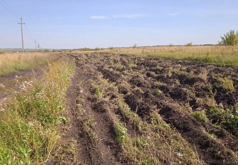 В городе приступили к обновлению минерализованных полос
