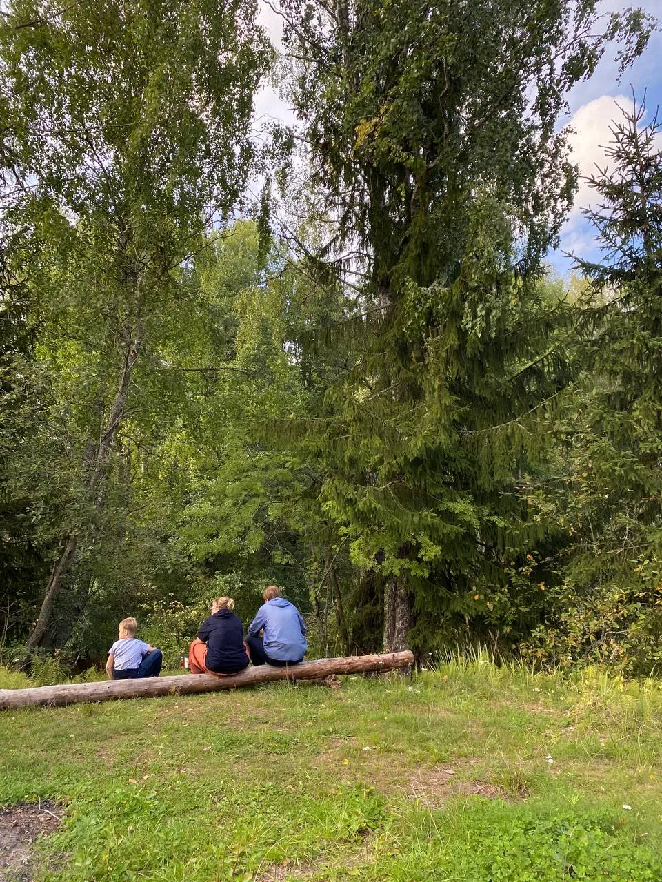 🌳 Успейте выбраться на природу в Линдуловскую рощу!