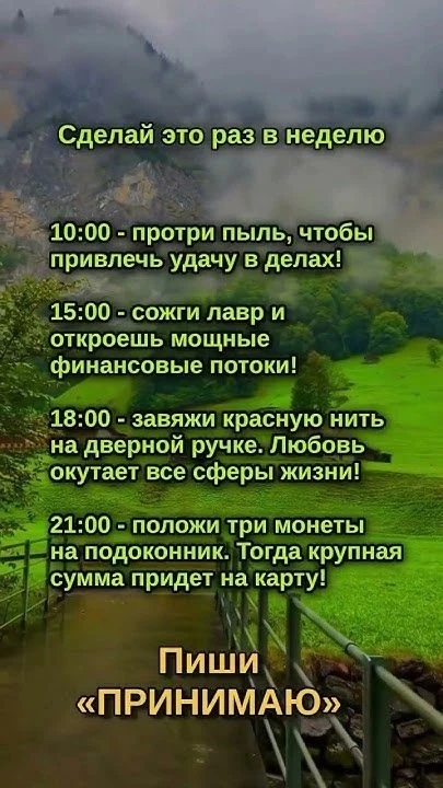 Женская Территория - https://max.ru/id504034090067_biz
