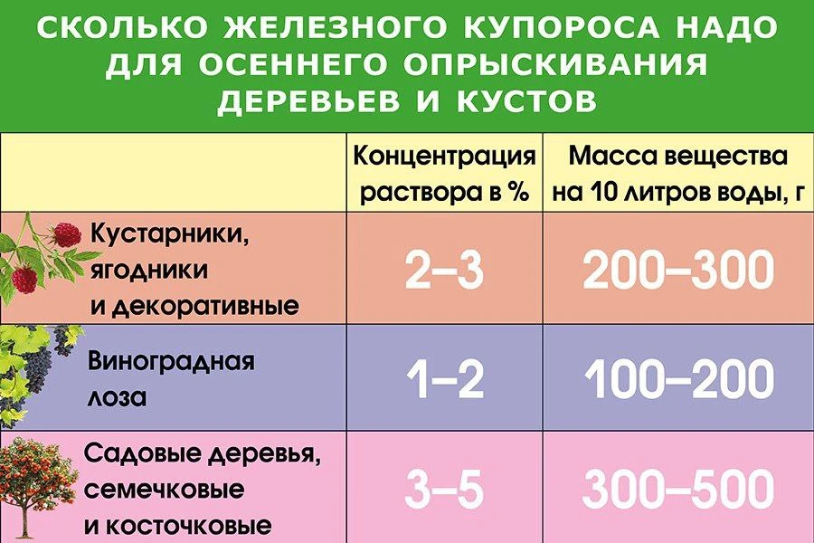 Скоро наши сады начнут готовиться к зимнему сну и у нас будет последний в этом сезоне ш...