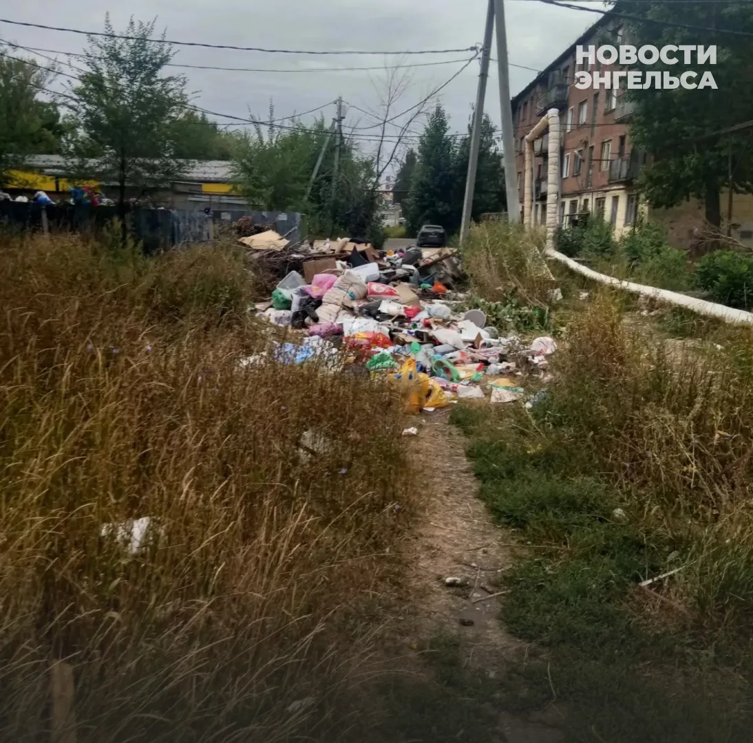 😱 Детям приходится идти в школу через свалку