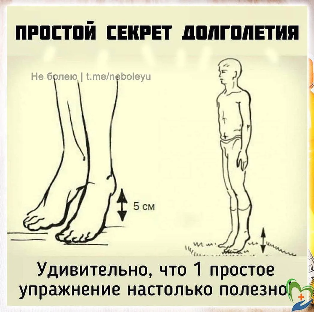 Простое упражнение для долголетия
