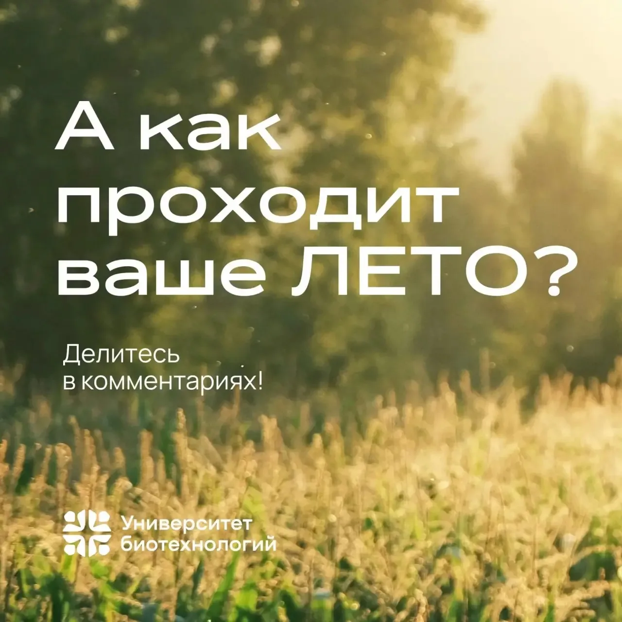 Ну что, август - финишная прямая нашего лета☀️

Кто-то успел покорить горы, кто-то - найти идеальный