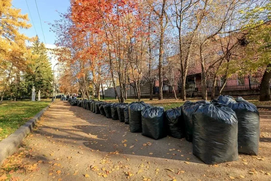 Общегородской субботник в Новосибирске состоится 3 октября. Жителей призывают выйти на ...
