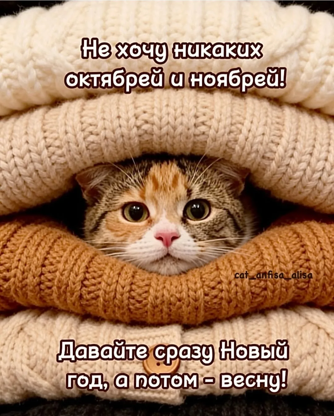 #картинки #отдых #мем #приколы #смех