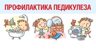 Педикулез: правила профилактики в учебном году