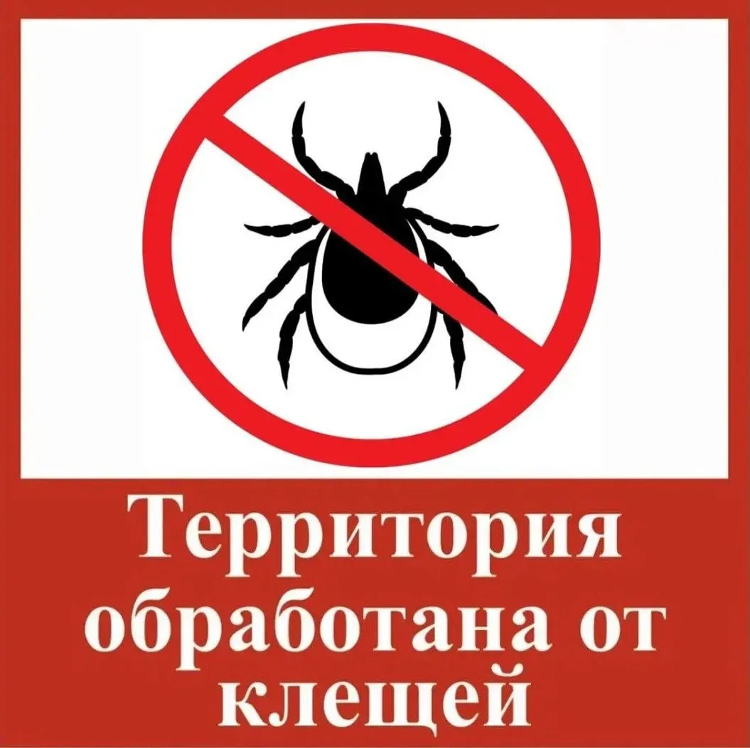 ✅2 мая на территории детского сада специалистами сертифицированной службы были проведены акарицидные