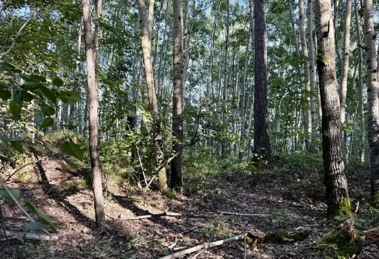 ‼️ Уважаемые братчане! ‼️