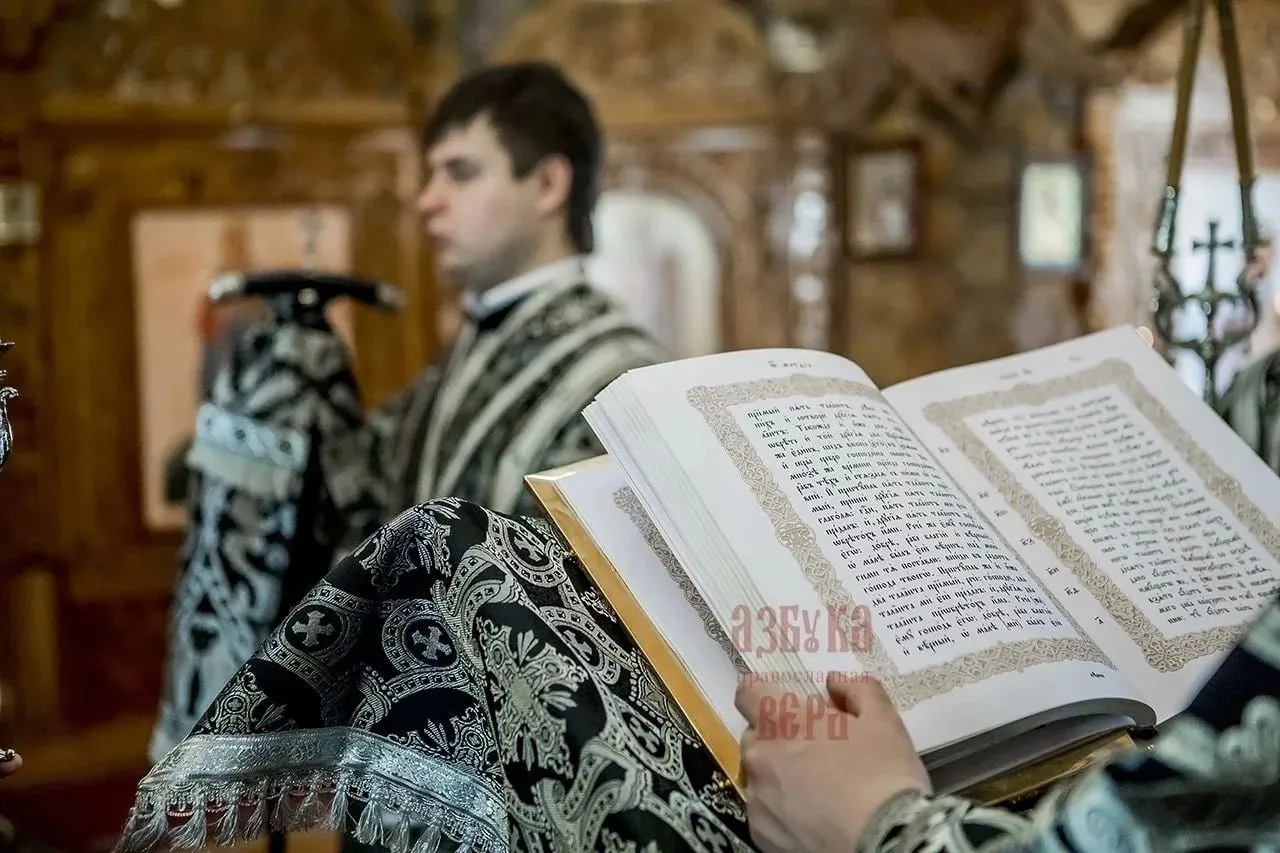 🌿 ГРЕХ ЗАВИСТИ