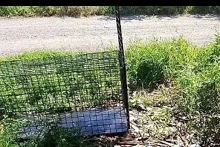 Пожалуйста, опубликуйте пост! СРОЧНО!!! ОЧЕНЬ ВАЖНО! Друзья, нужна максимальная огласка!