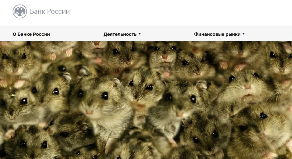 🇷🇺#акции #россия #cot #обзор