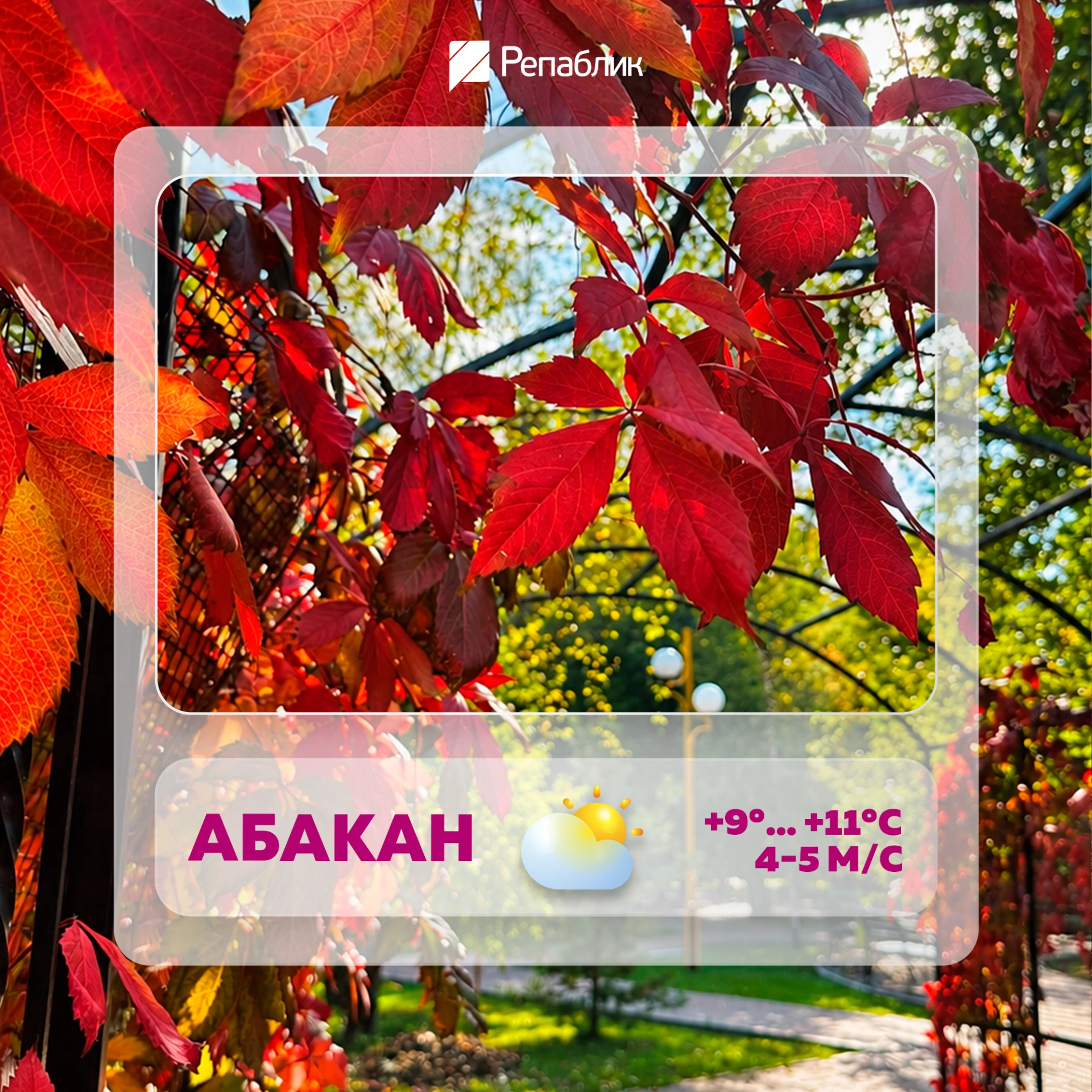 Сегодня +11 и небо снова намекает на дождь ☔️