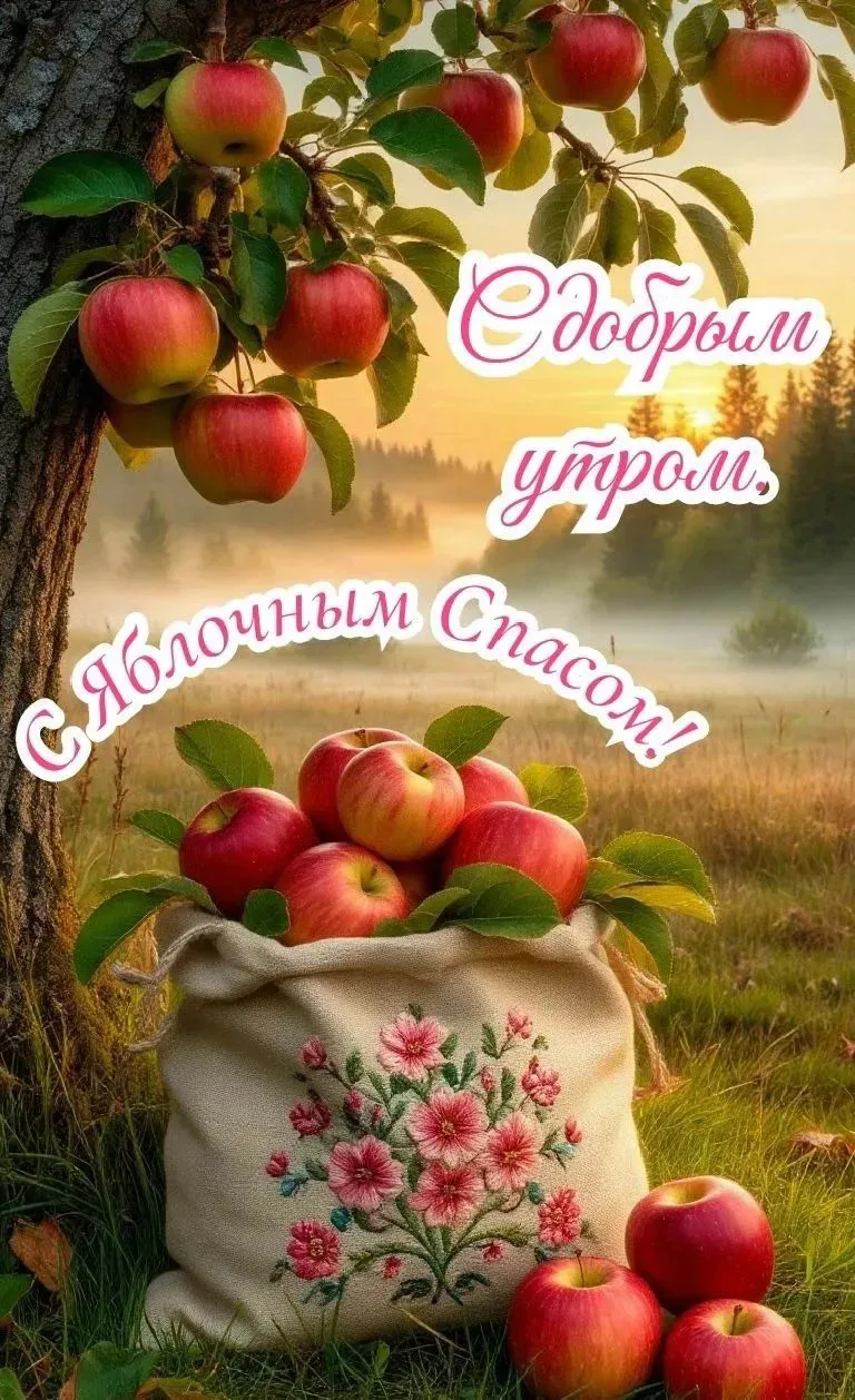 Мои дорогие друзья!