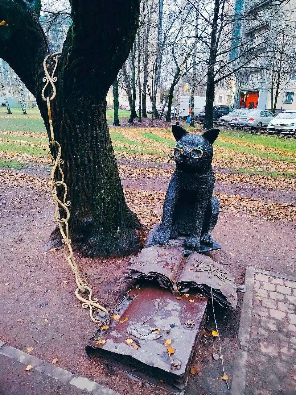 Кот учёный, который исполняет желания 🐱