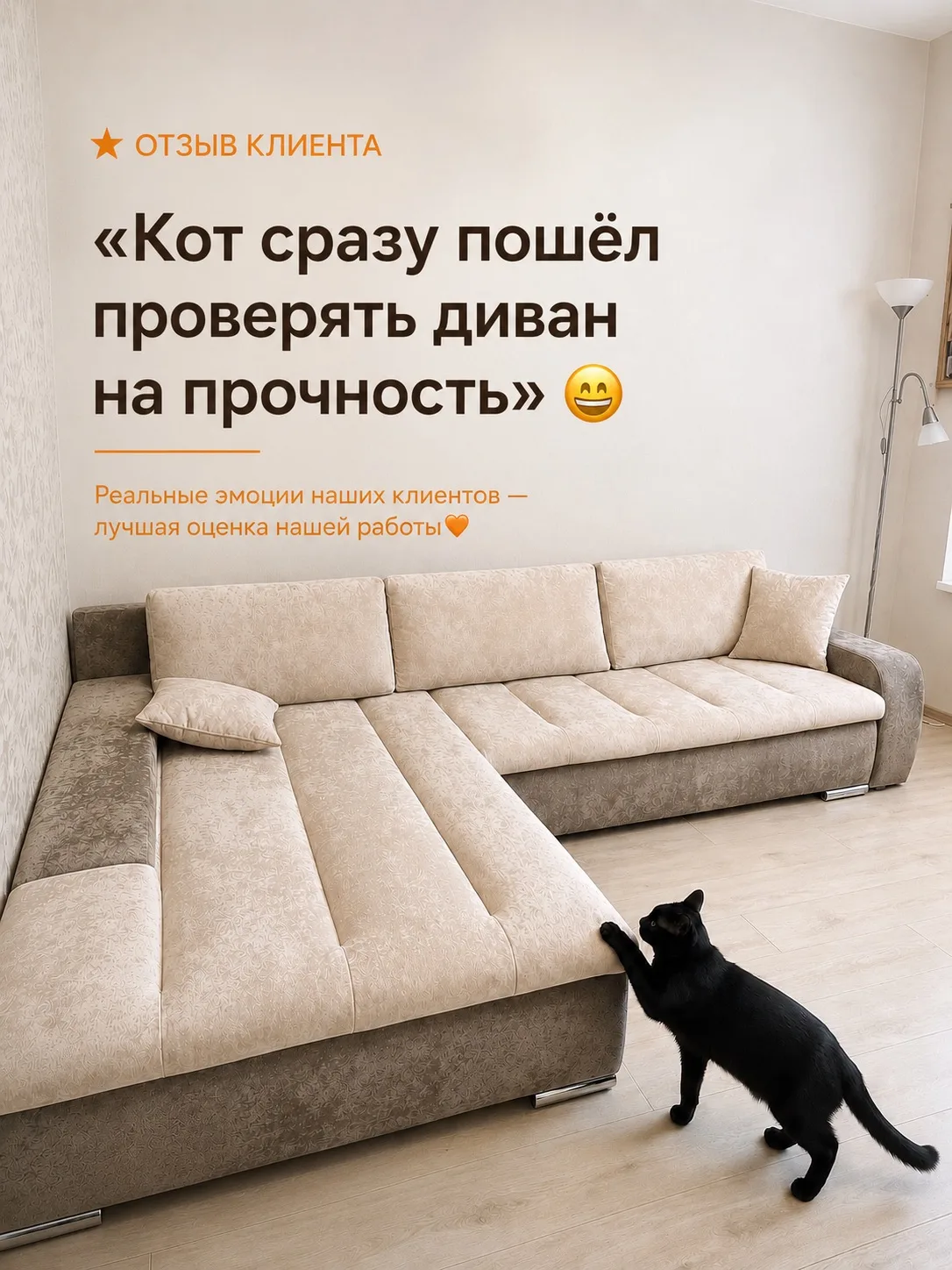 🐾 «Кот сразу пошёл проверять диван на прочность…»

Когда Юлия обратилась к нам, её угловой диван бы