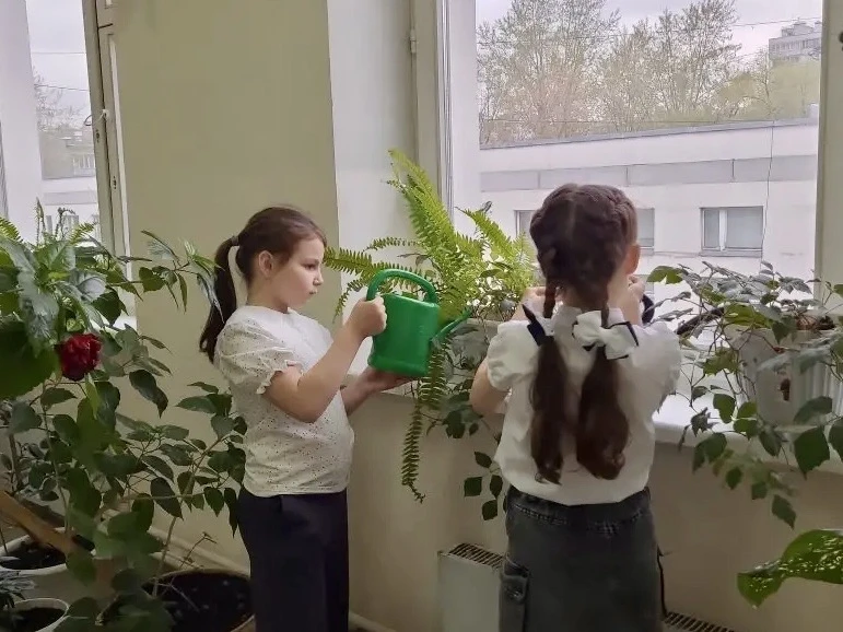 🌱 «Орлёнок – эколог»  ♻️ Во вторых классах прошло итоговое занятие «Орлёнок – эколог». Целый месяц р