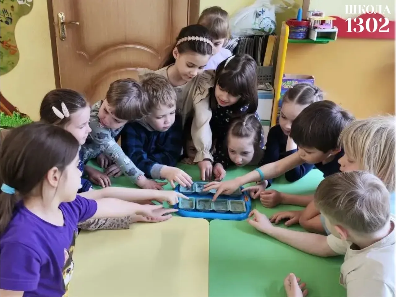 🌱 ОГОРОД НА ПОДОКОННИКЕ  В дошкольных группах ребята вместе с родителями и воспитателями посадили на