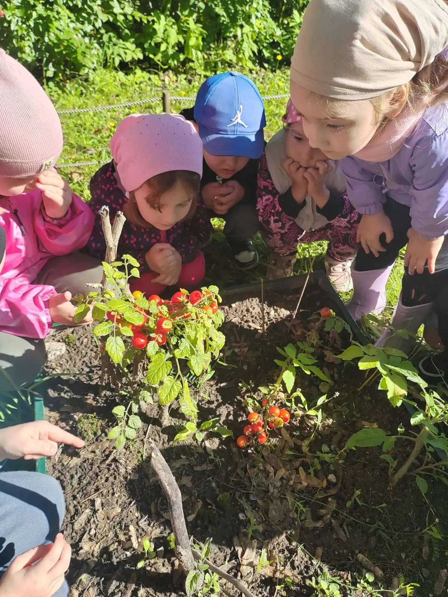 🌞 Прогулка с открытиями в младшей группе!