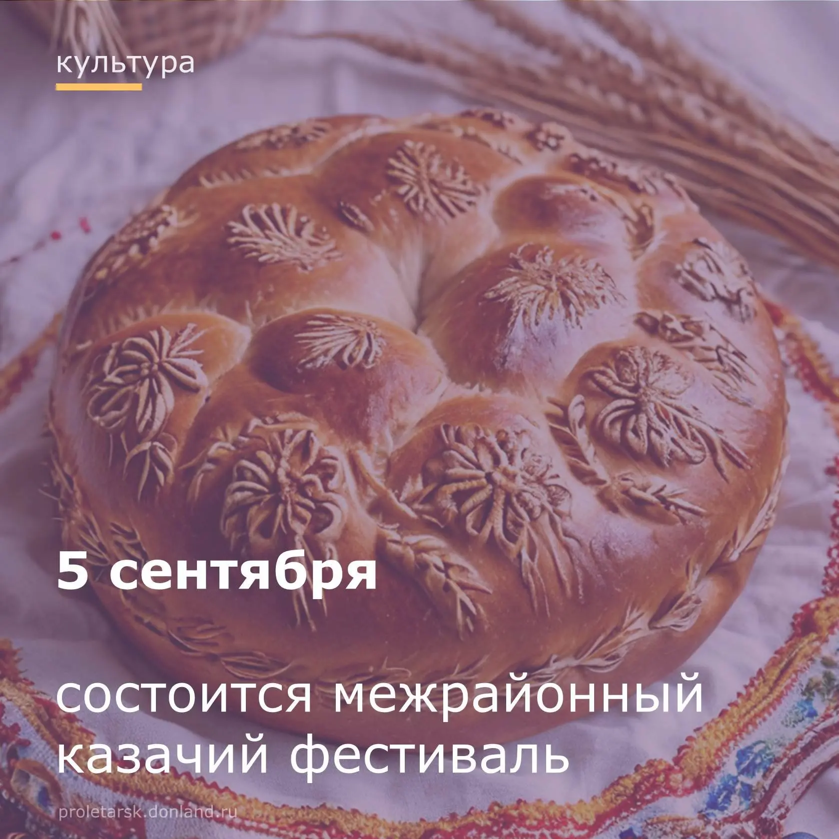 🔊Уважаемые жители и гости Пролетарского района!
