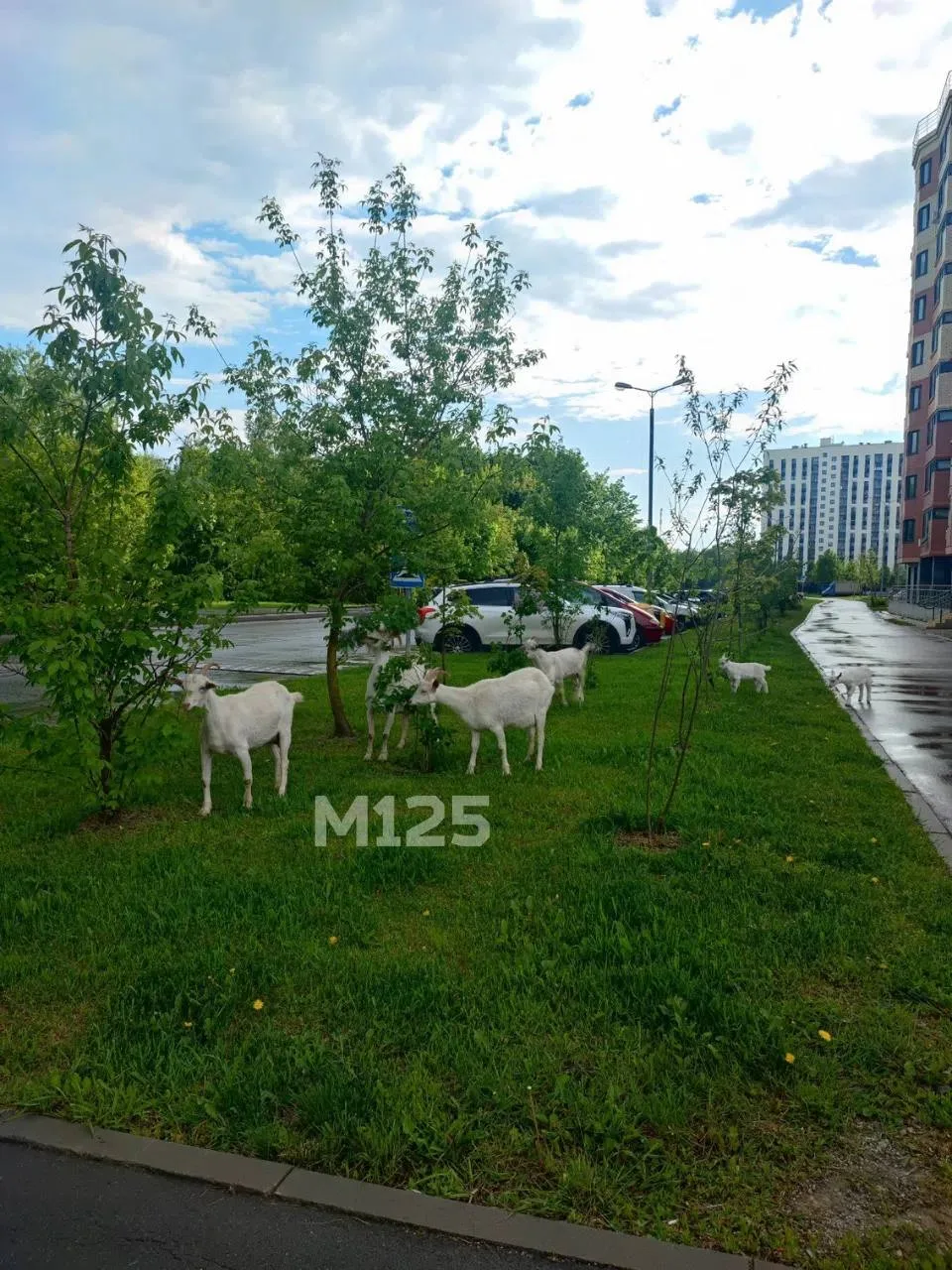 Этим летом явно кого-то не хватает 🤣

Читай главный канал о Москве