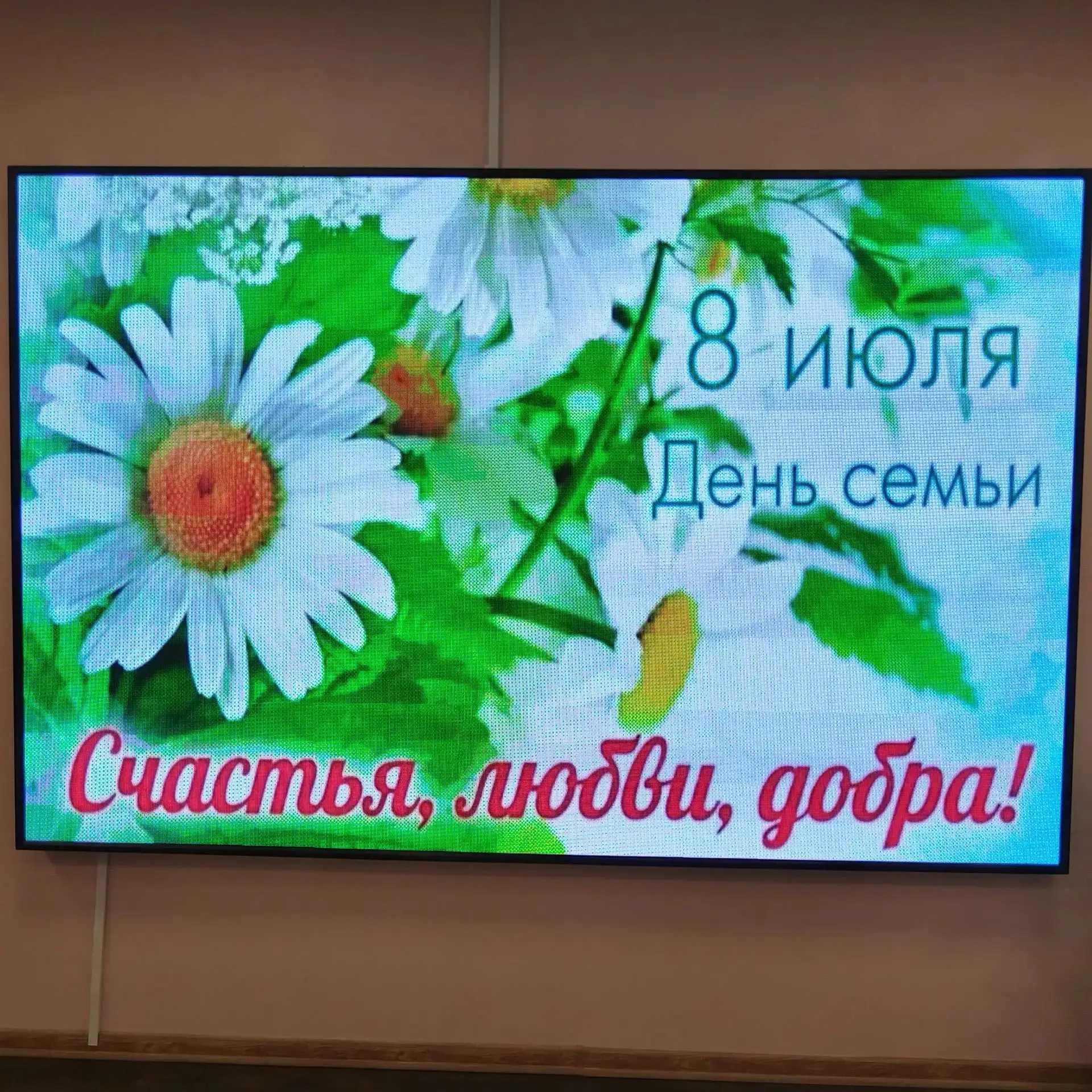 🌼 Наш детский сад празднует День семьи, любви и верности!
Сегодня у нас прошёл самый трогательный, 