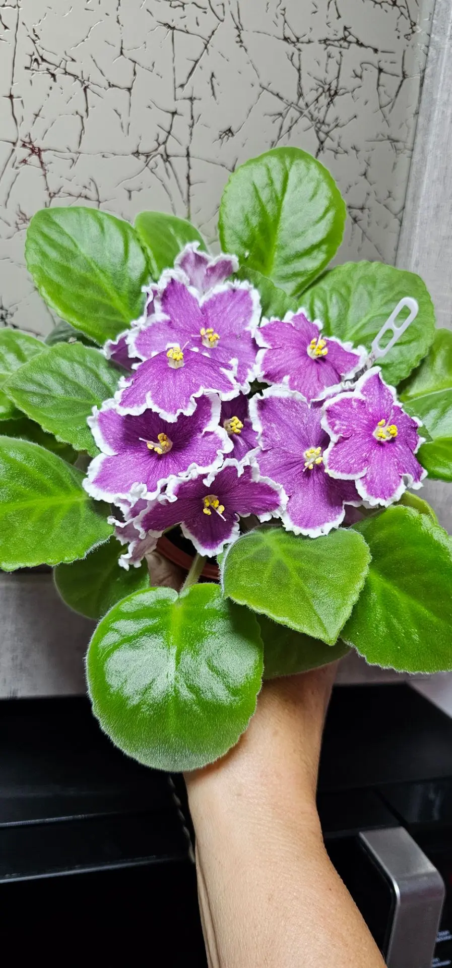 Фото