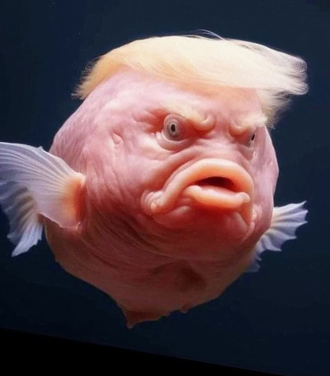🐠 Добро пожаловать в самое уютное сообщество аквариумистов Владимира! 🐠