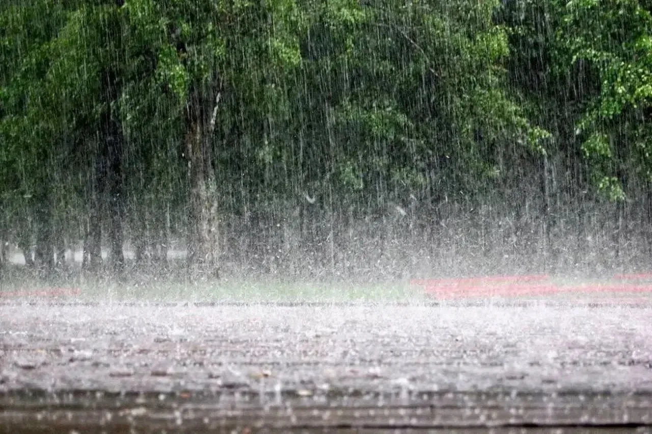 Сильные дожди ожидаются в Нижнем Новгороде 11 июня 🌧️
 
По данным ФГБУ «Верхне-Волжское УГМС», В бл