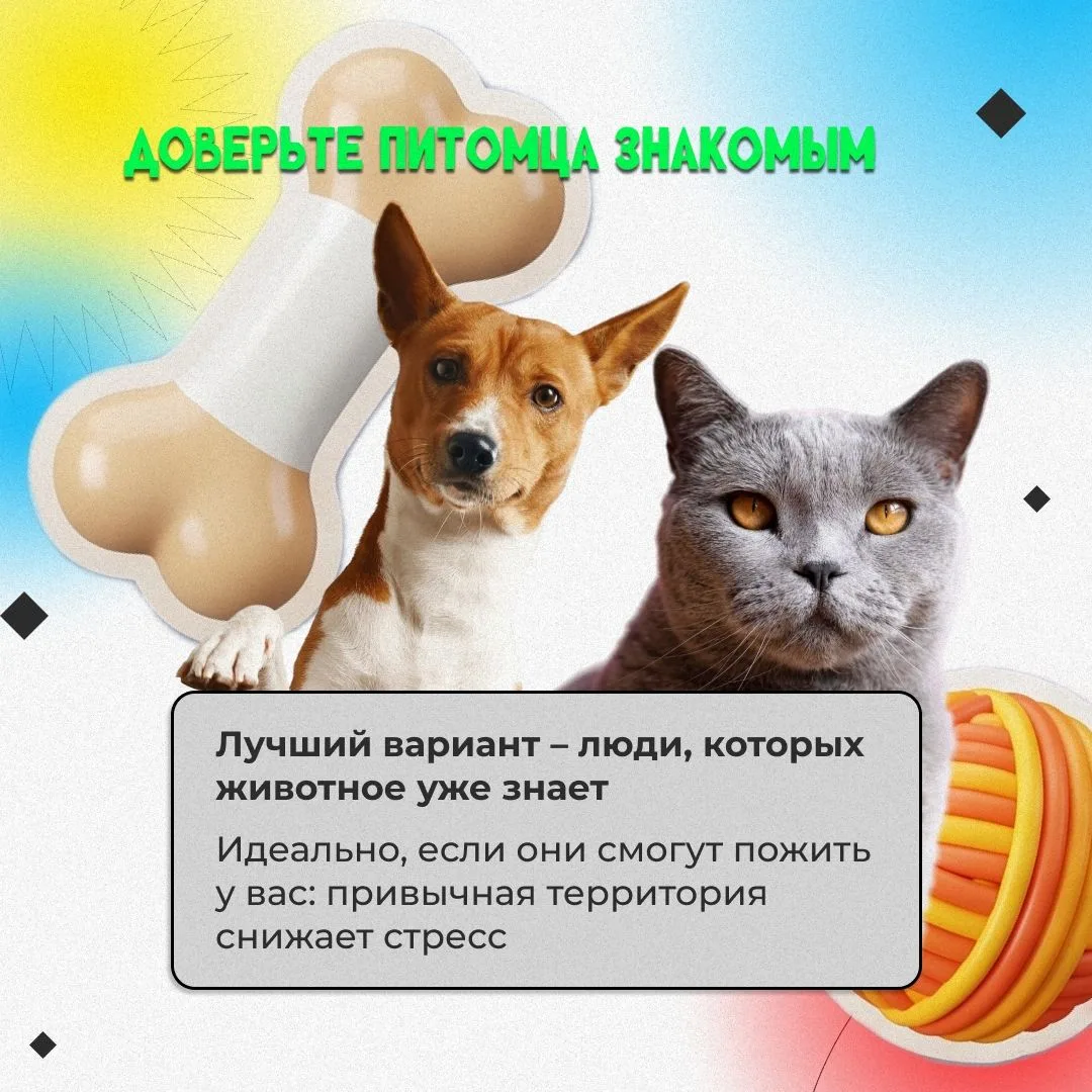 Стартовал сезон отпусков! Вместе с приятными хлопотами по планированию путешествия и сбору чемоданов