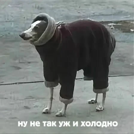На продолжение бабьего лета в октябре рассчитывать не стоит