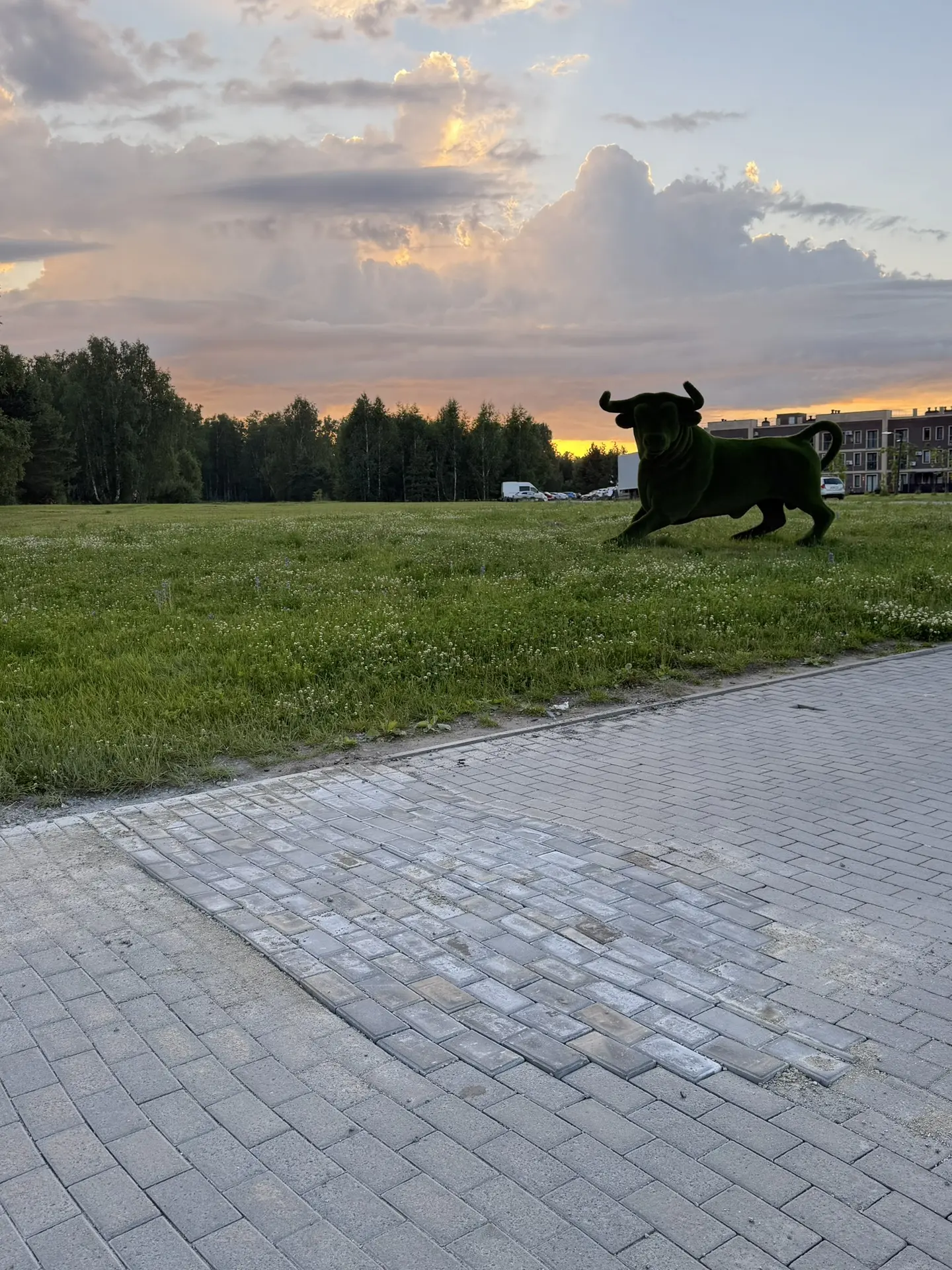 🛣️ Восстановление дорожного покрытия на верхней проходной

«Привилегия» особенно прекрасна в лучах 