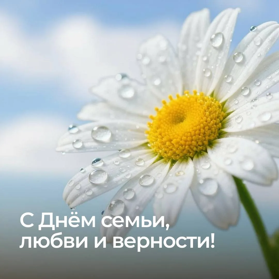 С Днём семьи, любви и верности!

8 июля в России ежегодно отмечают праздник про самое дорогое: про т