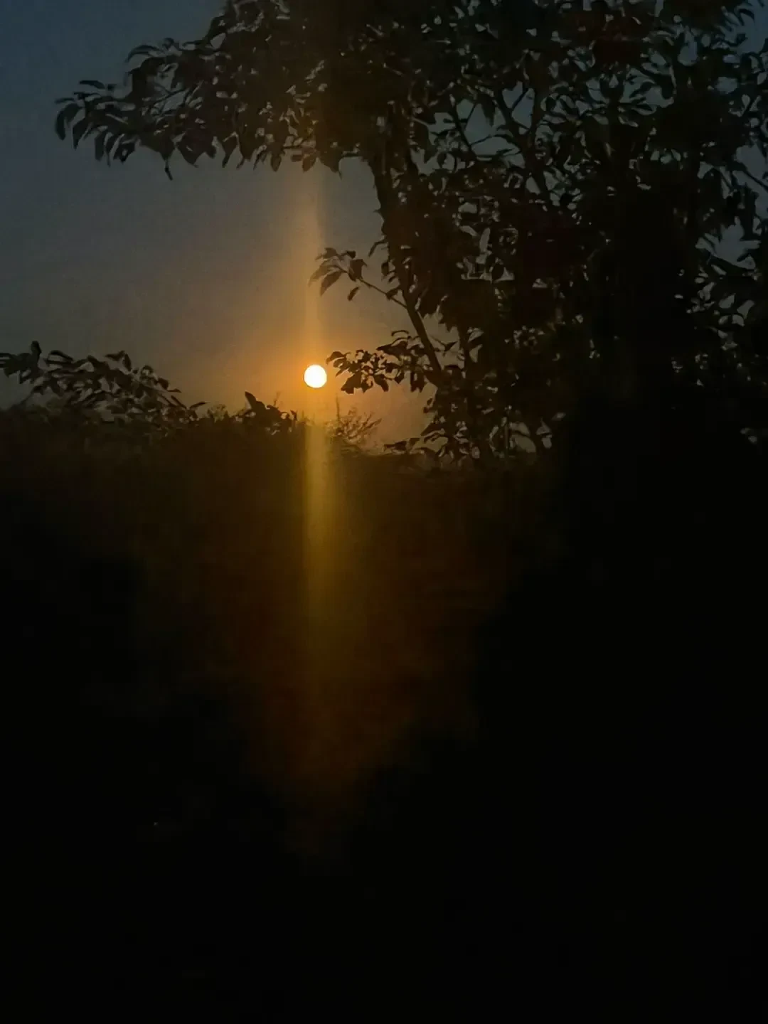 Красивого вам в ленту❤️
