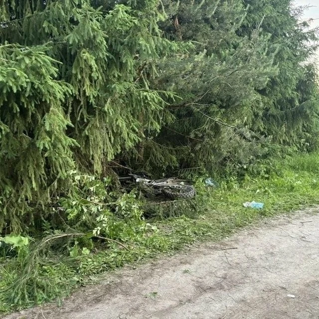 🏍В Вологодском округе питбайкер врезался в дерево и получил травмы

По данным Госавтоинспекции, в с