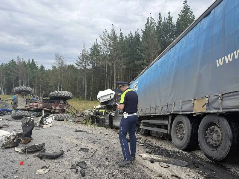 На трассе М‑12 «Восток» в районе Первоуральска, на 296‑м километре, столкнулись два гру...