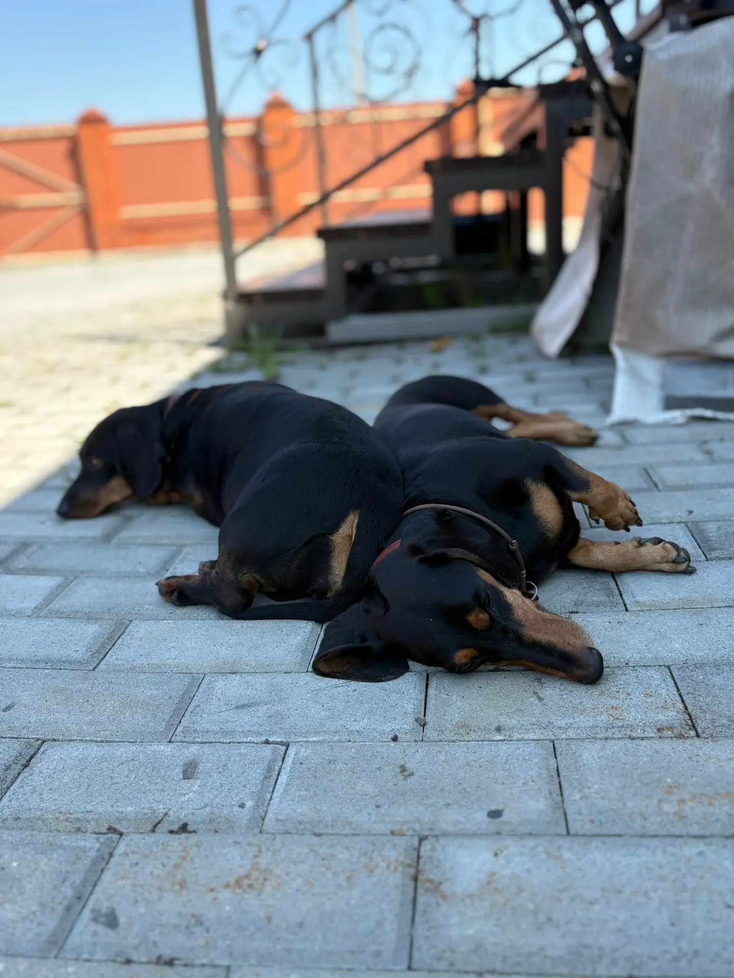 Охрана 😂