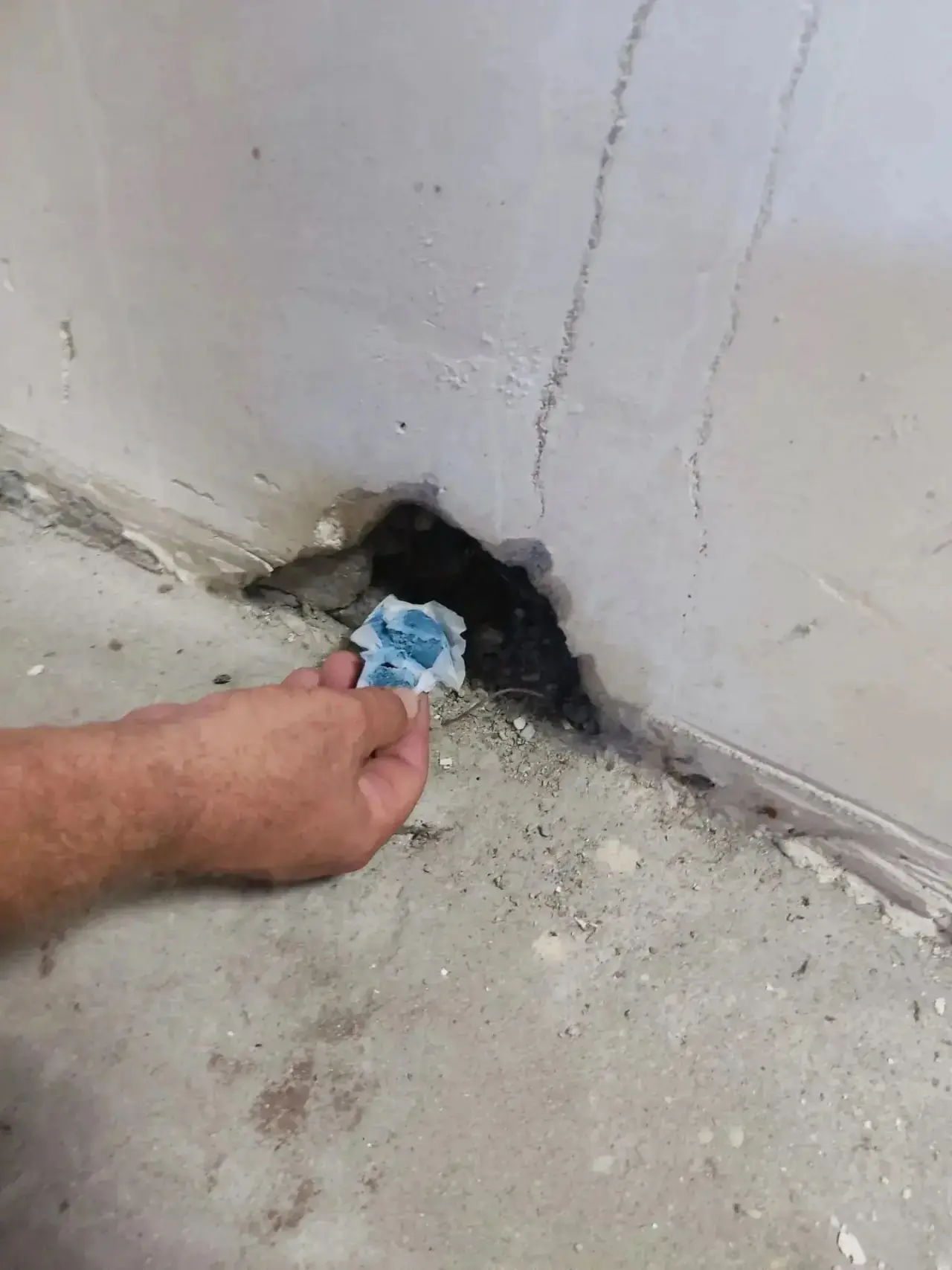 🐀 Проведены работы по борьбе с грызунами по адресу: проспект Генерала Острякова, 248А/1: