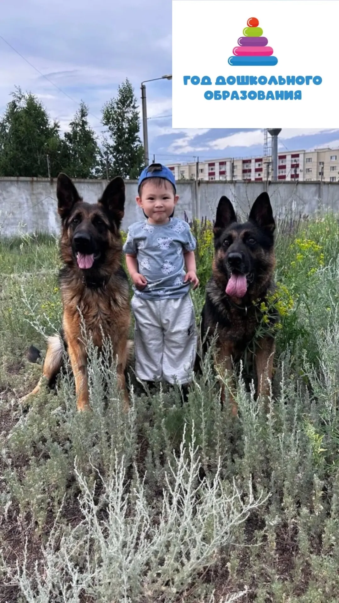 🧩Ежегодно 2 июля  отмечается Международный день собак — неофициальный, но очень популярный праздник