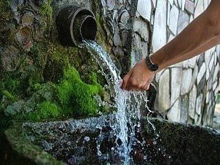 💦Более 130 родников привели в порядок в Подмосковье