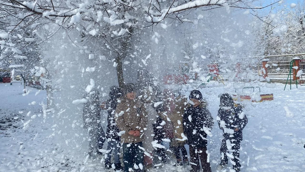 ☃️ В ясный зимний день старшая группа «Ромашка» вышла на прогулку. Участок выглядел сказочно: всё бы