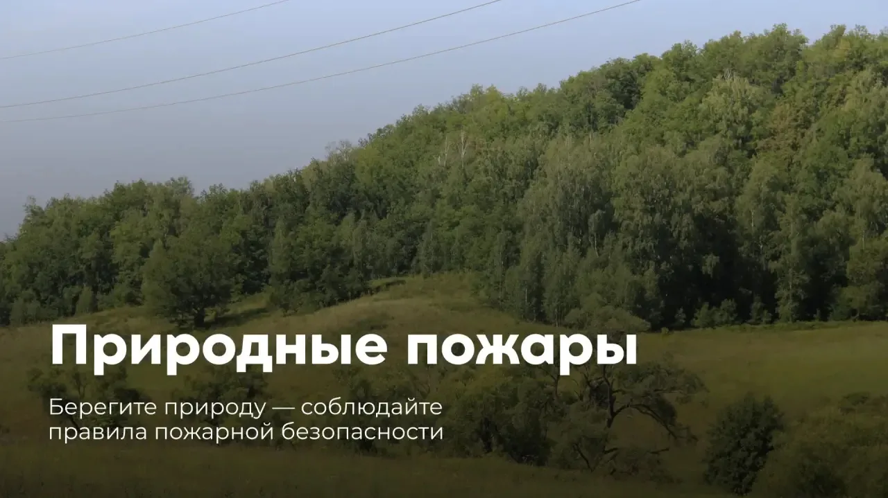 🌳Наши леса —  богатство юго-востока Татарстана. 

90% лесных пожаров происходит по вине людей. Забы