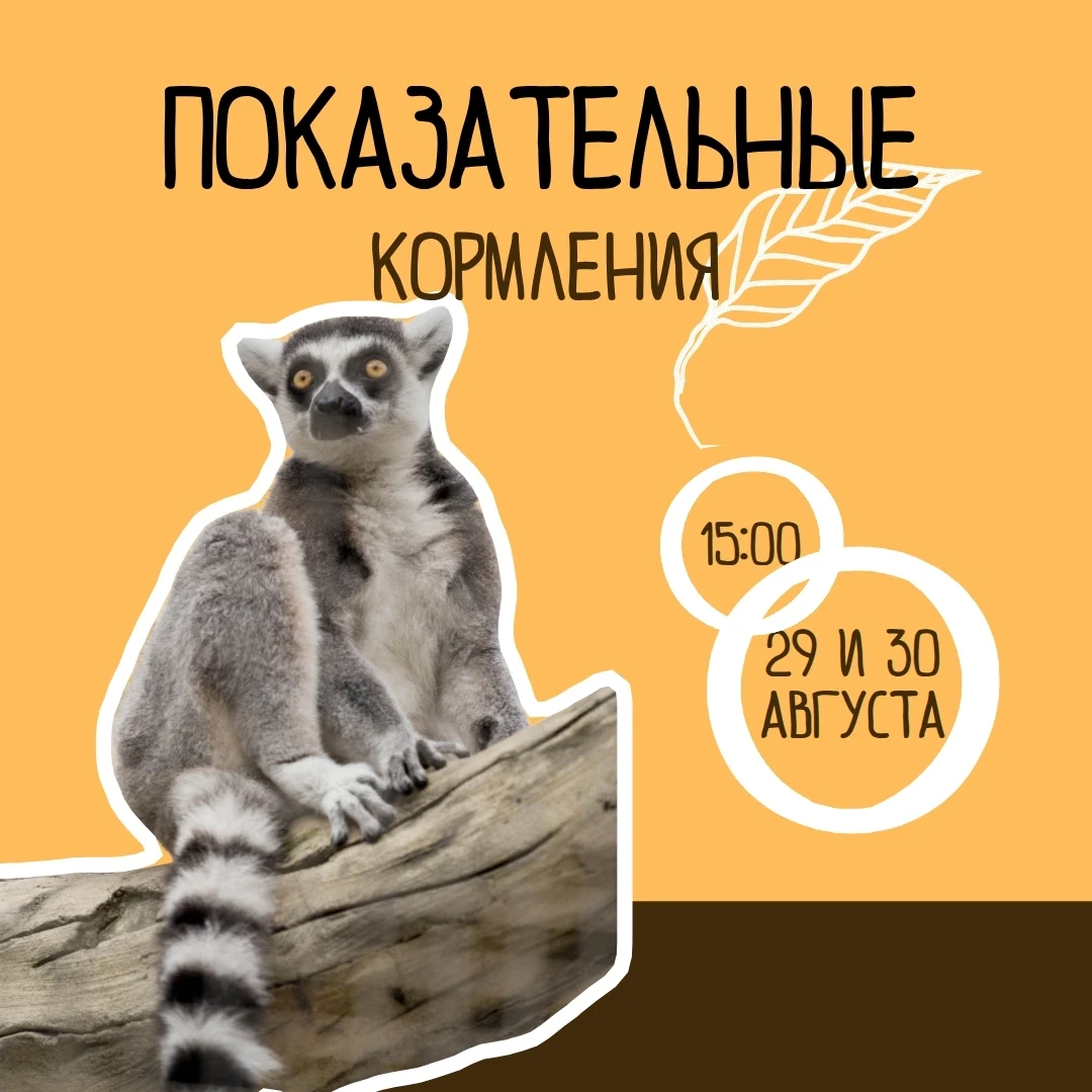 🙏 На этой неделе у нас много анонсов. Но мы надеемся, что вы не забудете про традицион...